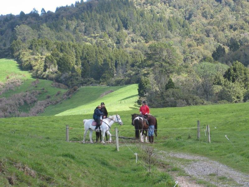Kaimai Country Lodge Katikati Ngoại thất bức ảnh